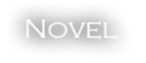 novel
